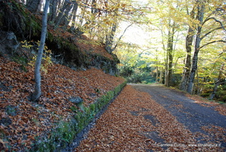 Monte Spagnolo